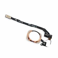 Varuosa Flex Iphone 5S/SE home nupp (rose-gold)