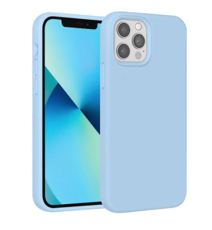Ümbris UNIQ Accessory iPhone 12/ 12 Pro (helesinine)